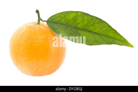 Pile de Mandarines Clémentines isolé sur un fond blanc (avec clipping chemin de travail) Banque D'Images