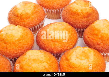 Quelques madeleines, muffins ordinaire typique espagnol, sur un fond blanc Banque D'Images