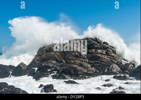 Broyage des vagues sur les rochers, West Coast National Park, Afrique du Sud Banque D'Images