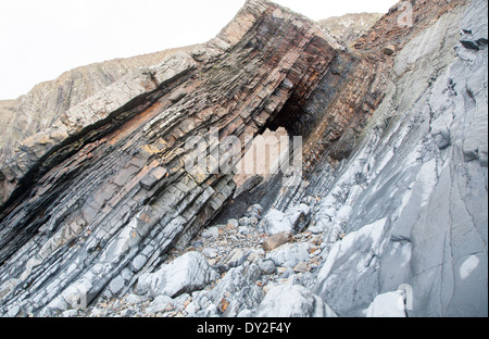 Pliage complexe de strates de roches sédimentaires dans les falaises impressionnantes à Hartland Quay, North Devon, Angleterre Banque D'Images