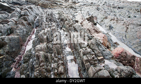 Vague d'érosion de la plate-forme rocheuse coupée de relief avec des crêtes formées par l'érosion des couches inclinées à Hartland Quay, North Devon, Angleterre Banque D'Images