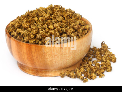 Les graines d'épinards sur un bol en bois Banque D'Images