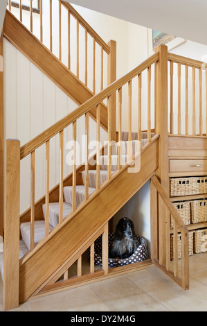 Escalier en chêne avec cage en dessous pour un chien. Banque D'Images