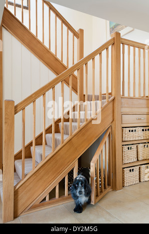 Escalier en chêne avec cage en dessous pour un chien. Banque D'Images