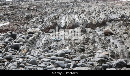 Vague d'érosion de la plate-forme rocheuse coupée de relief avec des crêtes formées par l'érosion des couches inclinées à Hartland Quay, North Devon, Angleterre Banque D'Images