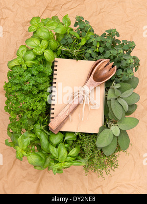 Livre de recettes de vide avec la variété des herbes fraîches et de décoration. fond de cuisson Banque D'Images