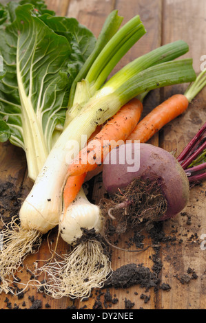 Les légumes frais du jardin et placés sur une planche Banque D'Images