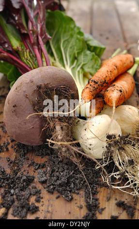 Les légumes frais du jardin et placés sur une carte Banque D'Images