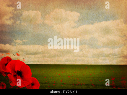 WW1 Première Guerre mondiale Résumé fond de coquelicots Banque D'Images
