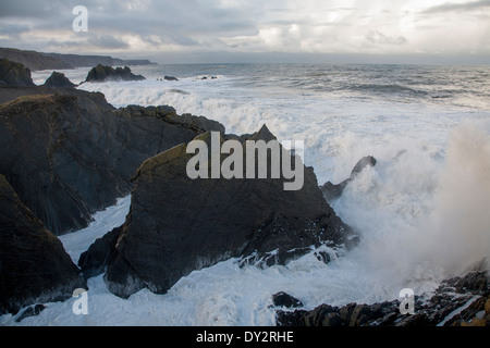 Grande tempête Atlantique vagues se briser sur la côte rocheuse déchiquetée à Hartland Quay, North Devon, Angleterre Banque D'Images