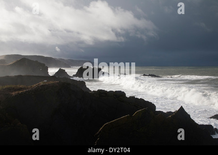 Grande tempête Atlantique vagues se briser sur la côte rocheuse déchiquetée à Hartland Quay, North Devon, Angleterre Banque D'Images