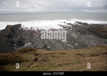 Vague d'érosion de la plate-forme rocheuse coupée de relief avec des crêtes formées par l'érosion des couches inclinées à Hartland Quay, North Devon, Angleterre Banque D'Images