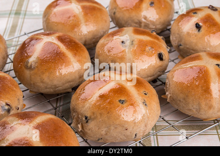 Les brioches pains/Pâques sur une grille de refroidissement ( 14 d'une série de 24 ) Banque D'Images