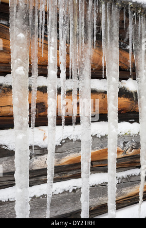 Les glaçons qui pendent du toit d'une vieille cabane dans les montagnes de l'Oregon Wallowa. Banque D'Images