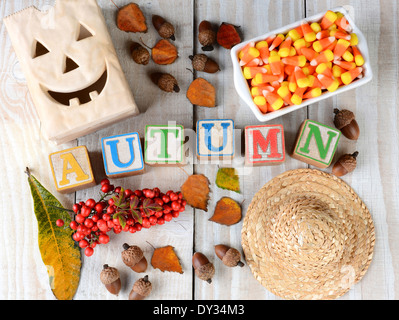 Blocs pour enfants à l'automne sur les planches de bois rustique, le mot est entouré de feuilles, de paille, de glands Banque D'Images