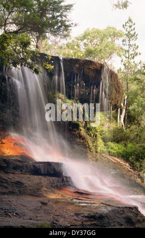 Weeping Rock appelé Cascade sur Jamison Creek, au-dessus de Wentworth Falls, Blue Mountains, New South Wales, Australie Banque D'Images