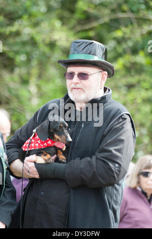 Newton, España. 5 avril 2014. Un homme et son chien regarder une Morris dance afficher comme des milliers de gens profiter de soleil du printemps à la fin de la Jonquille Newton dans le Cambridgeshire UK 5 avril 2014. Chaque année entre 7000-10000 personnes assistent à l'événement pour voir le village affiche de jonquilles, les résidents en visite jardins ouverts, de l'artisanat des granges, des stands de nourriture, Morris dancing, pays des démonstrations d'artisanat, des chevaux et des manèges de la foire. Les routes sont fermées à la circulation permettant aux visiteurs de se promener dans les ruelles de ce joli village dans une célébration du printemps. Credit : Julian Eales/Alamy Live News Banque D'Images