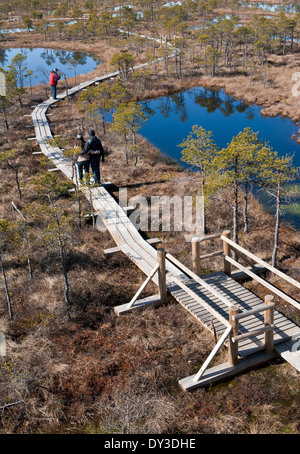 Les visiteurs à Kemeri Parc National Kemeri tourbières bombées Lettonie Banque D'Images