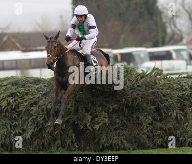 Liverpool, Royaume-Uni. Le 05 Avr, 2014. Pineau De Re sous Leighton Aspell remporte le Grand National Crabbies pendant trois jours des trois jours de réunion Grand National Hippodrome Aintree : Action Crédit Plus Sport/Alamy Live News Banque D'Images