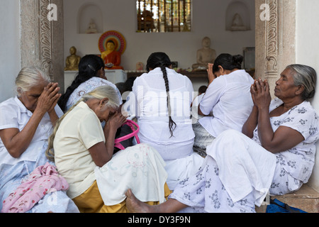 Anuradhapura, Sri Lanka. Les femmes bouddhistes priant au Sri Maha Bodhi temple Banque D'Images