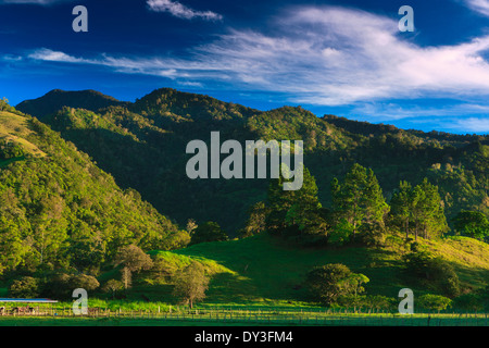 Belle lumière d'or tôt le matin sur les collines près du village de Volcan dans la province de Chiriqui, République de Panama, Amérique centrale. Banque D'Images