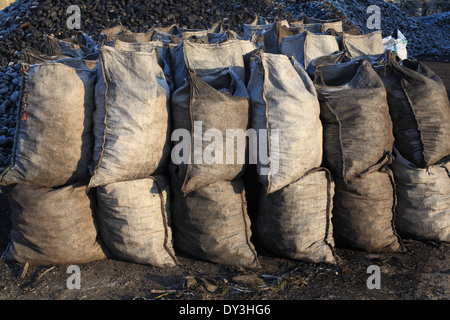 Des sacs de charbon dans un chantier de charbon. Banque D'Images