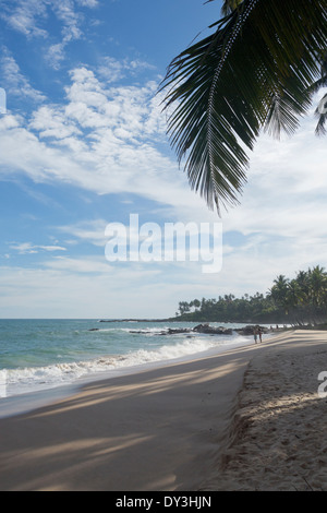 Tangalla, Sri Lanka. Paradise Beach Palm Banque D'Images
