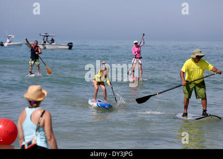 Dunedin, Floride. Le 05 Avr, 2014. La finale approche pagayeurs des quatre et huit mille courses bien que concurrentes dans la morsure de requin courses Défi Samedi (4/5/14) à l'Honeymoon Island Sate Park à Dunedin. ( Photo : Douglas R. Clifford/Tampa Bay Times/ZUMAPRESS.com/Alamy Live News Banque D'Images