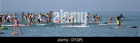 Dunedin, Floride. Le 05 Avr, 2014. Les pagayeurs dans la morsure de requin courses Défi Samedi (4/5/14) à l'Honeymoon Island Sate Park à Dunedin. ( Photo : Douglas R. Clifford/Tampa Bay Times/ZUMAPRESS.com/Alamy Live News Banque D'Images