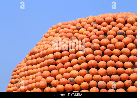 Tas de citrouilles orange pile avec fond de ciel bleu Banque D'Images