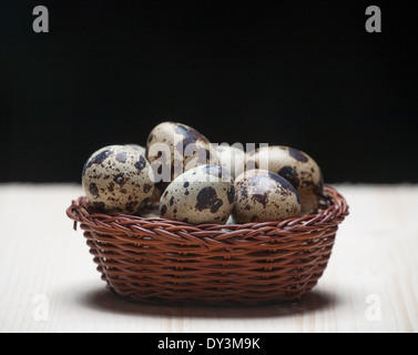 La vie toujours avec des oeufs de Pâques dans un panier. Arrière-plan de couleur. Des oeufs de cailles. animaux art avril origines bébé oiseaux panier celebra Banque D'Images