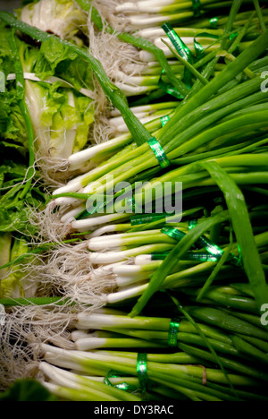 Bottes d'oignons verts dans la section des fruits et légumes d'une épicerie. Banque D'Images