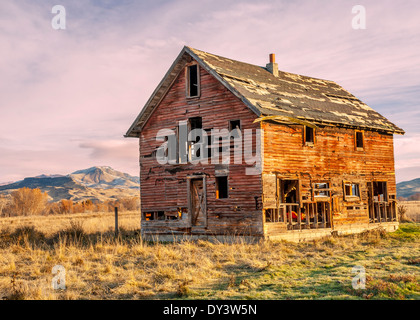 Old weathered homestead en terres agricoles de l'Idaho Banque D'Images