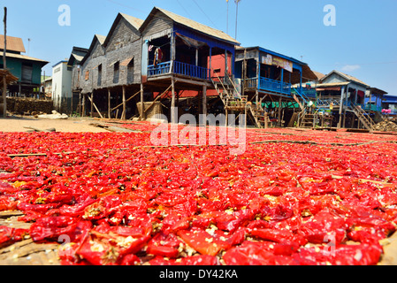 Piments chilis cuits et salés sur des plateaux en bambou séchant au soleil avec des maisons traditionnelles en pilotis habitées par les ouvriers agricoles en arrière-plan, Cambodge Banque D'Images