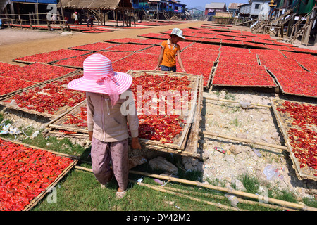 Salé cuit et préparé des piments sur des plateaux de bambou prises auprès de sun dry par des enfants des maisons sur pilotis, Cambodge Banque D'Images