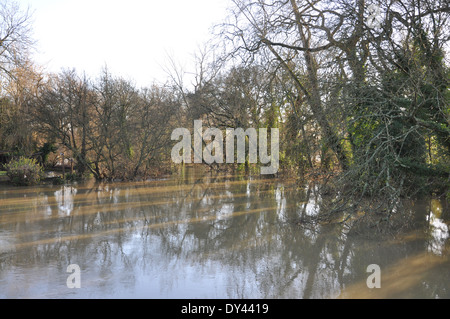 Inondations à Pulborough, West Sussex, Angleterre Banque D'Images