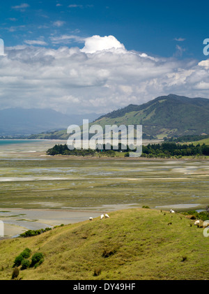 En regardant vers le sud d'une colline, près de Puponga, Nouvelle-Zélande. Banque D'Images