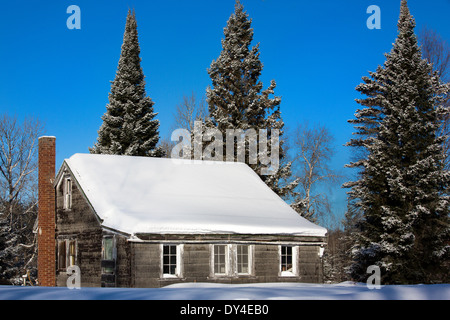 Chalet dans le nord du Wisconsin Banque D'Images