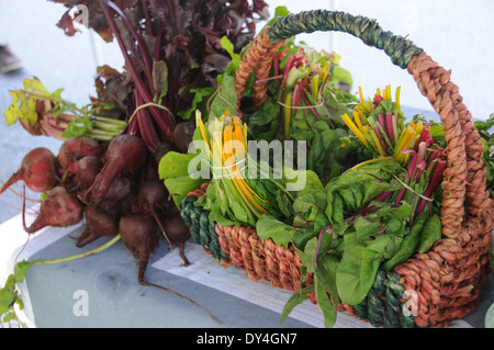 De plus en plus à la bette à carde et à la vente à farmers market Banque D'Images