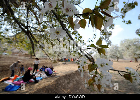 Zhongwei, la Région autonome de Ningxia Hui. 6ème apr 2014. Les touristes ont pique-nique sous les poiriers en fleurs à Zhongwei, nord-ouest de la Chine, région autonome du Ningxia Hui, le 6 avril 2014. © Li Ran/Xinhua/Alamy Live News Banque D'Images