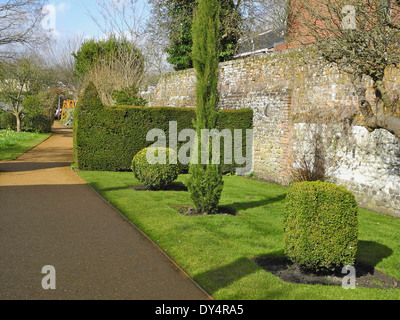 Jardins Petersfield Physic Garden à Petersfield, Hampshire contient une grande collection de plantes médicinales et culinaires et des plantes. Banque D'Images