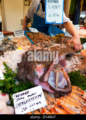 Queue de lotte Shetland écossais, Langousteen sur la glace avec des étiquettes de prix de vente au Borough Market Southwark London, UK KATHY DEWITT Banque D'Images