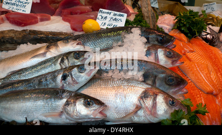 Whitby Inshore Sea Bass sur la glace l'affichage à l'poissonnerie à Borough Market, London Bridge, London, UK KATHY DEWITT Banque D'Images