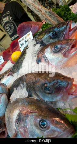 Whitby Inshore Sea Bass sur la glace l'affichage à l'poissonnerie à Borough Market, London Bridge, London, UK KATHY DEWITT Banque D'Images