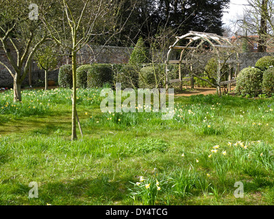 Jardins Petersfield Physic Garden à Petersfield, Hampshire contient une grande collection de plantes médicinales et culinaires et des plantes. Banque D'Images