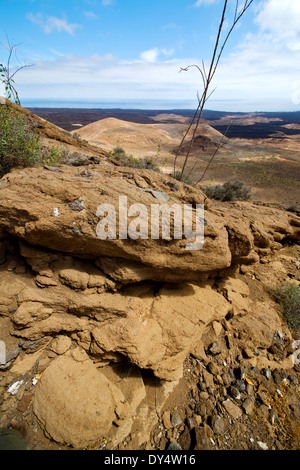 Océan Atlantique fleur plante timanfaya bush dans los Volcanes pierre roche volcanique sky Hill et à l'été lanzarote Banque D'Images