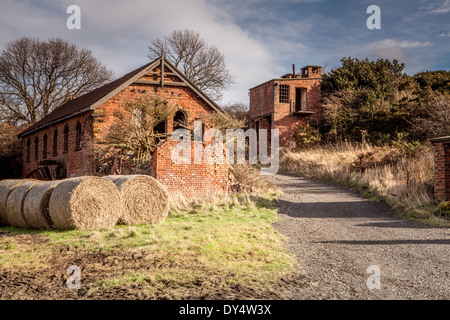 Skelton Park Mines, à l'Est, Skelton, Teesside, Angleterre Banque D'Images