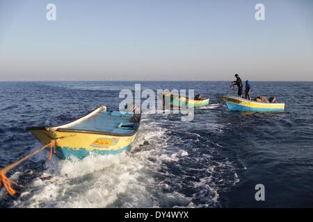 La bande de Gaza. 6ème apr 2014. Poisson Les pêcheurs palestiniens dans la mer de Gaza, le 6 avril 2014. La zone de pêche de Gaza est à l'origine jusqu'à 20 milles marins au large des côtes, en fonction de l'accord de paix d'Oslo de 1993. Lorsque le deuxième soulèvement palestinien a éclaté en 2000, Israël a commencé l'application de réduction progressive de la zone de pêche. Lorsque le Hamas a pris en charge la bande de Gaza par la force en 2007, la zone de pêche a été mis à 3 milles des côtes, et en novembre dernier, Israël a permis aux pêcheurs de faire fonctionner à moins de 6 milles. © Wissam Nassar/Xinhua/Alamy Live News Banque D'Images