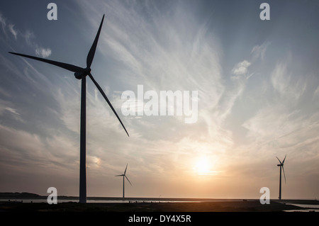 Éoliennes au coucher du soleil et de l'Est de l'Escaut Eidersperrwerk conçu pour protéger les Pays-Bas contre les inondations. Neeltje Jans Banque D'Images