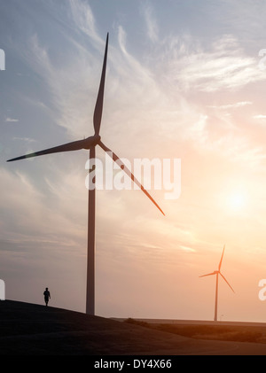 L'homme se promener près des éoliennes et Escaut Eidersperrwerk conçu pour protéger les Pays-Bas contre les inondations. Banque D'Images